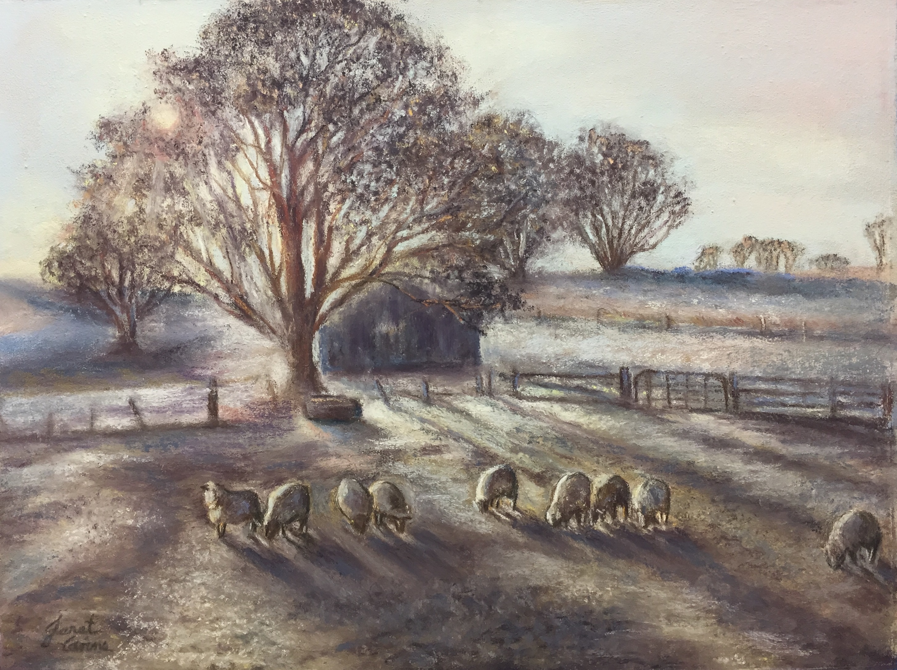 Frosty Shadows - pastel on board 59x50cm.jpg