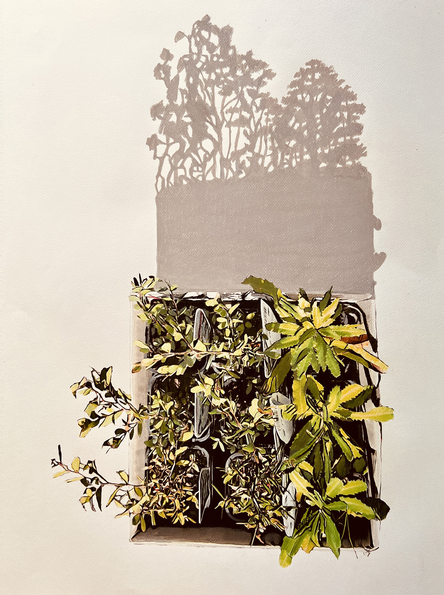 FOR OUR GRANDCHILDREN'S CHILDREN....jpg