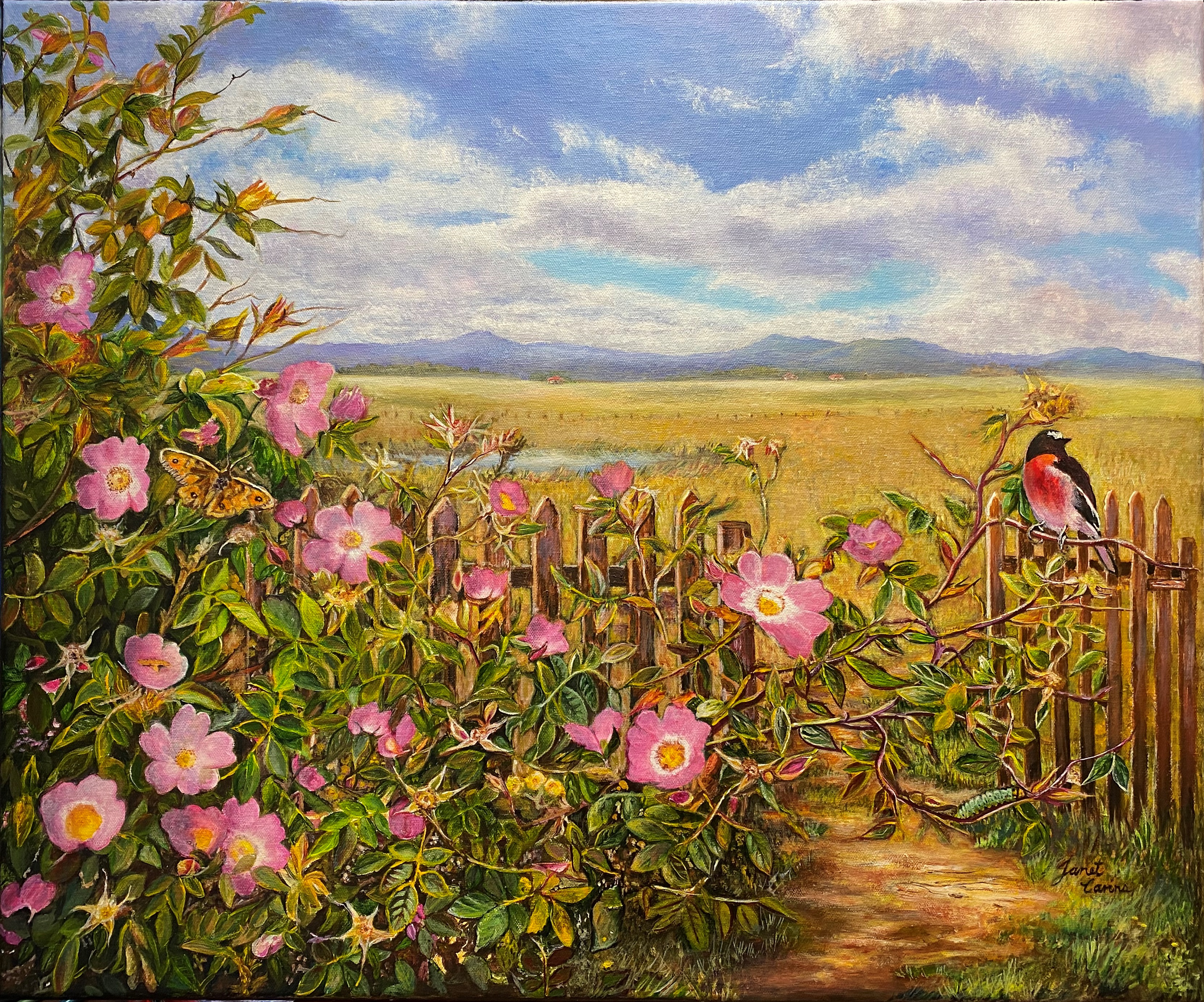 Briar Robin-acrylic on canvas.jpg