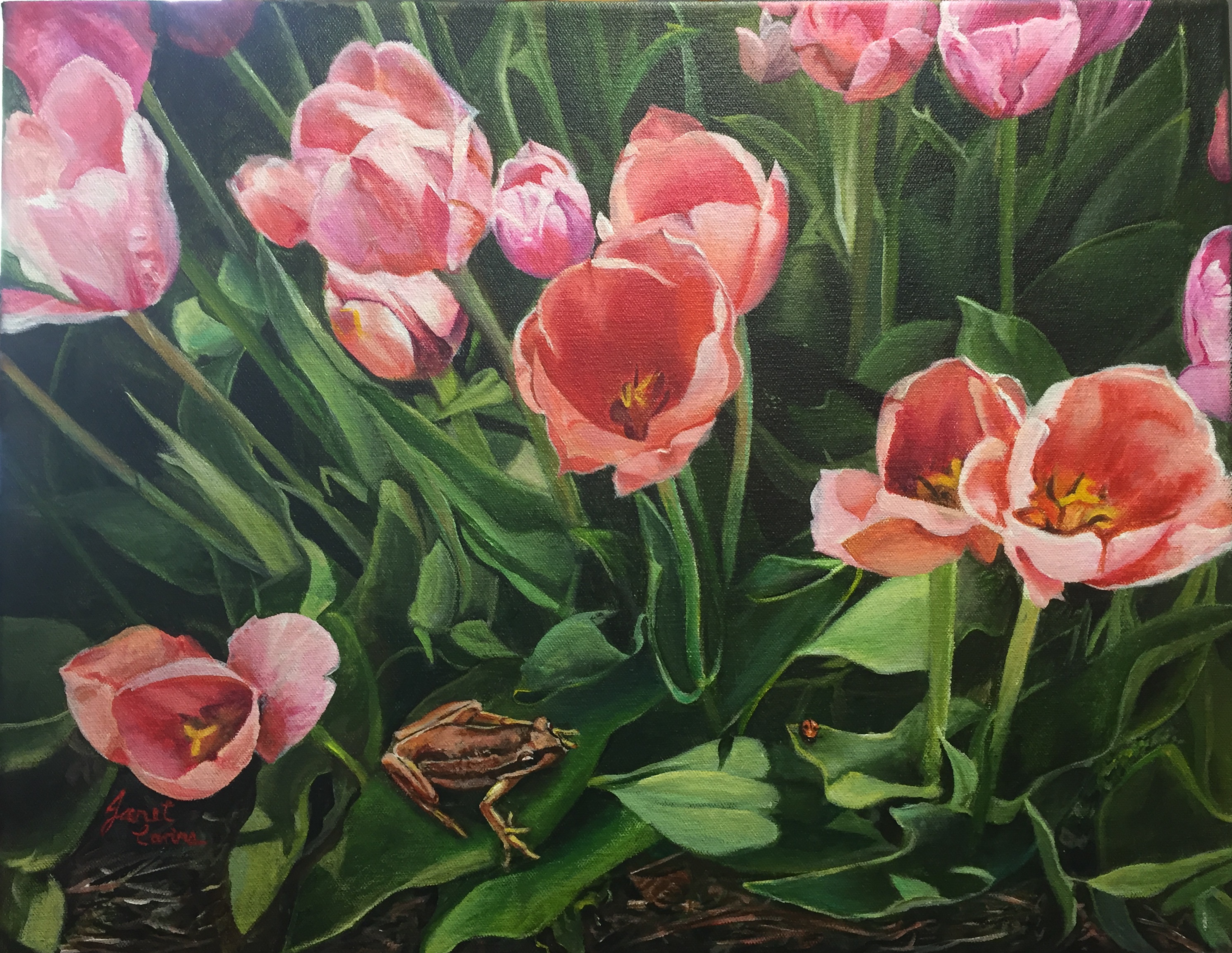 Among the Tulips - acrylic on canvas. 38x48cms.jpg