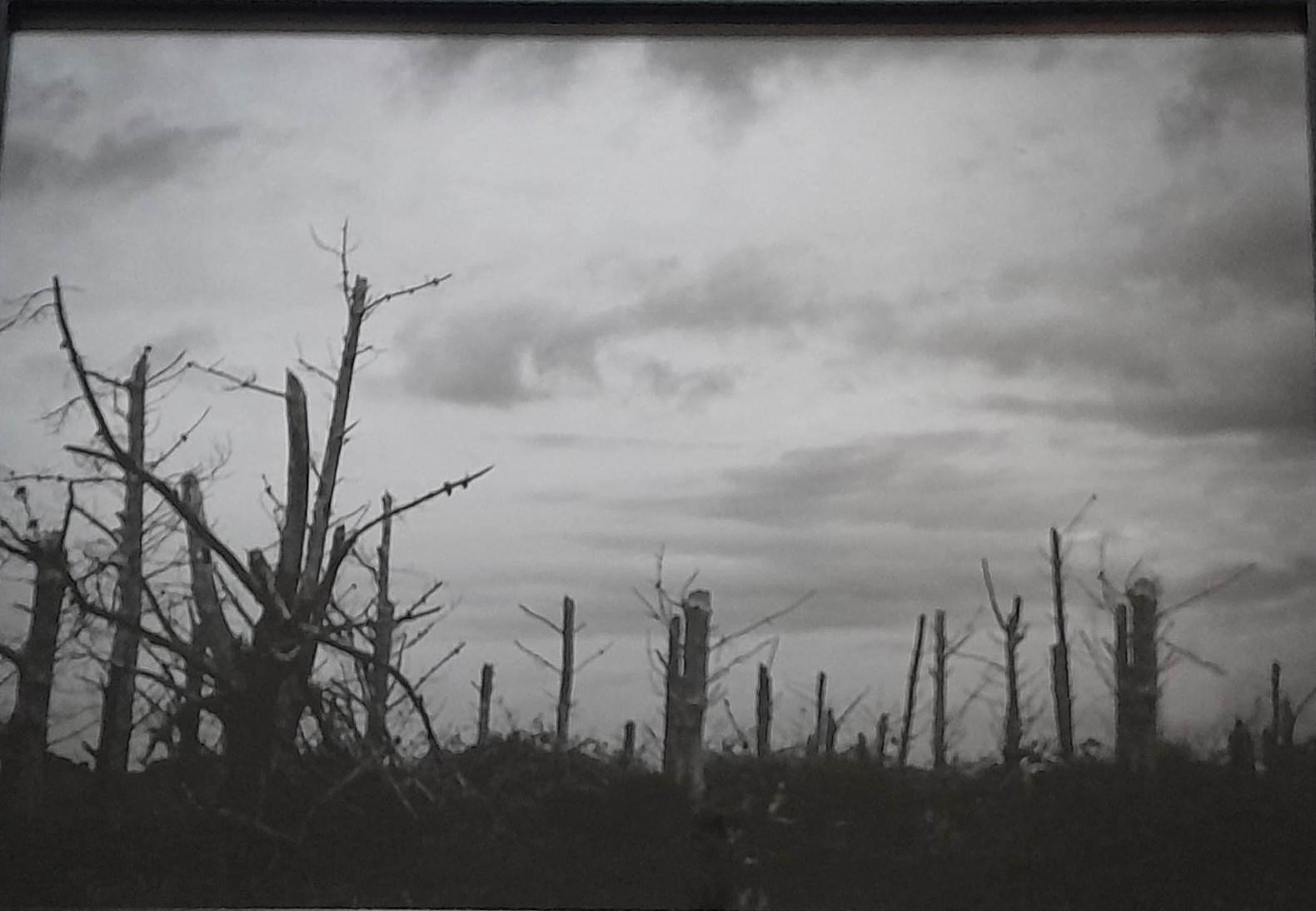 WHISPERS OF RAIN.jpg